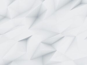 demo image 000002